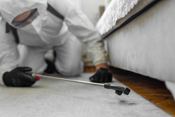 Professional Bed Bug Control technician working in Bedford Heights, OH