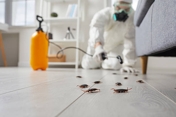 Trusted Bed Bug Control service in Bedford Heights, OH - Nex Pest Control